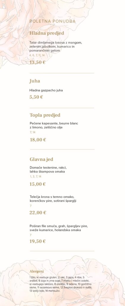 Poletna ponudba Bistroja Mlečna Marjanca z izbranimi predjedmi, juho in glavnimi jedmi.